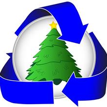 Christmas Tree Collection &amp; Recycling