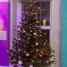 7ft- Decorated Christmas Tree